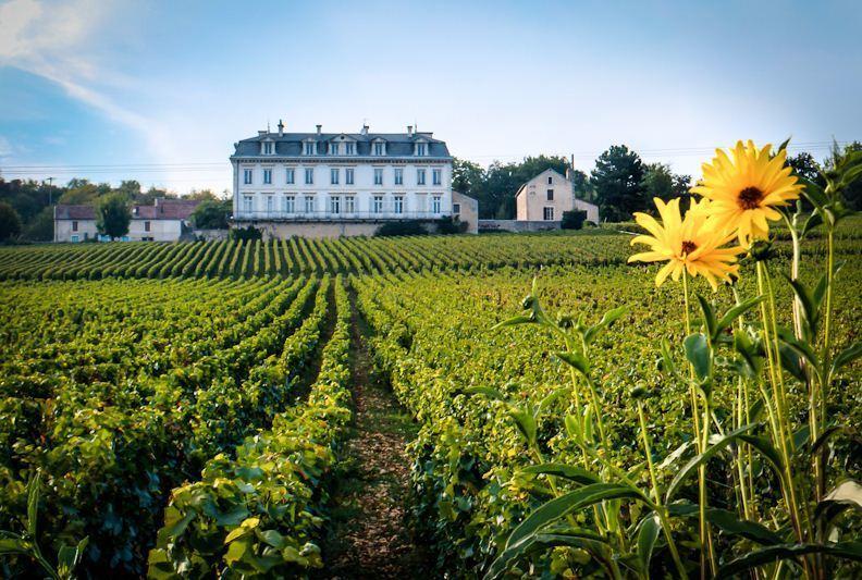 Gites Chateau Comblanchien Εξωτερικό φωτογραφία