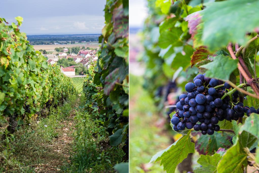 Gites Chateau Comblanchien Εξωτερικό φωτογραφία
